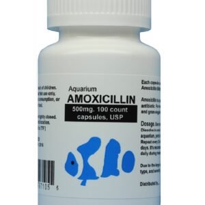 Fish Amoxicillin - Fish Mox Forte 500mg 100 capsules - Antibiotic for Fish